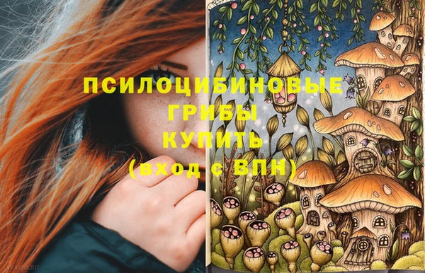 скорость Пестово